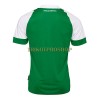 Original Fußballtrikot Werder Bremen Heimtrikot 2022-23 Für Herren